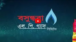 Bashudhara logo